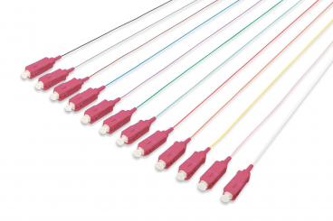 renkli domuzkuyrukları, SC OM2 50/125 µ, Tek Yönlü 